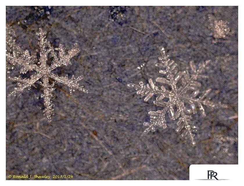 Микроскоп Levenhuk DTX 500 LCD 61024 - Изображение №2 — Интернет-магазин ПроЗаказ