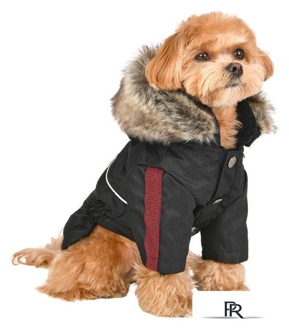 Куртка для животных Puppia Brock PAUD-JM1851-BK-L (черный) - Изображение №3 — Интернет-магазин ПроЗаказ