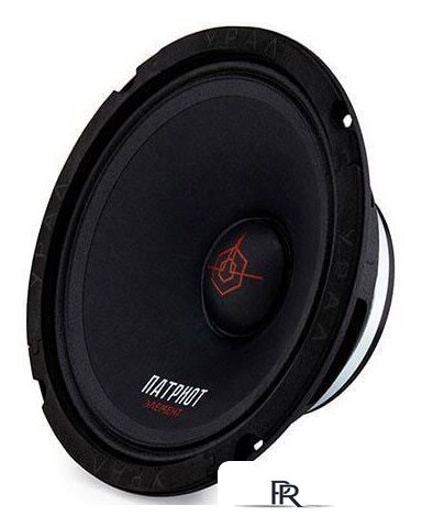 Среднечастотная АС Урал Патриот АС-ПТ165 Элемент - Изображение №2 — Интернет-магазин ПроЗаказ