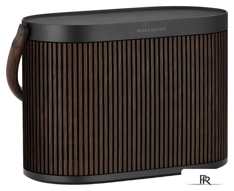 Беспроводная аудиосистема Bang & Olufsen BeoSound A5 (темный дуб) - Изображение №1 — Интернет-магазин ПроЗаказ