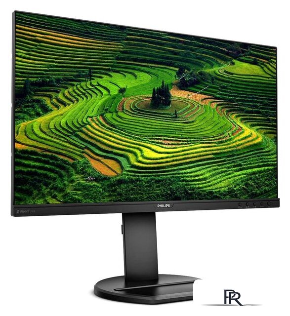 Монитор Philips 241B8QJEB/00 - Изображение №2 — Интернет-магазин ПроЗаказ