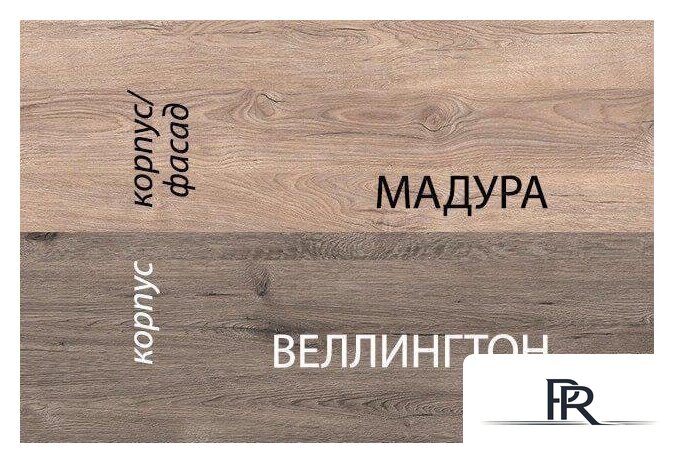Книжный шкаф Anrex Diesel 1D1S/D1 Дуб Мадура/Веллингтон - Изображение №4 — Интернет-магазин ПроЗаказ