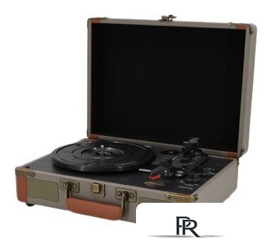 Виниловый проигрыватель Ritmix LP-130B (серый) - Изображение №1 — Интернет-магазин ПроЗаказ