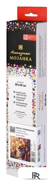 Алмазная мозаика  Феникс+ Корги с ромашками 70806 - Изображение №3 — Интернет-магазин ПроЗаказ