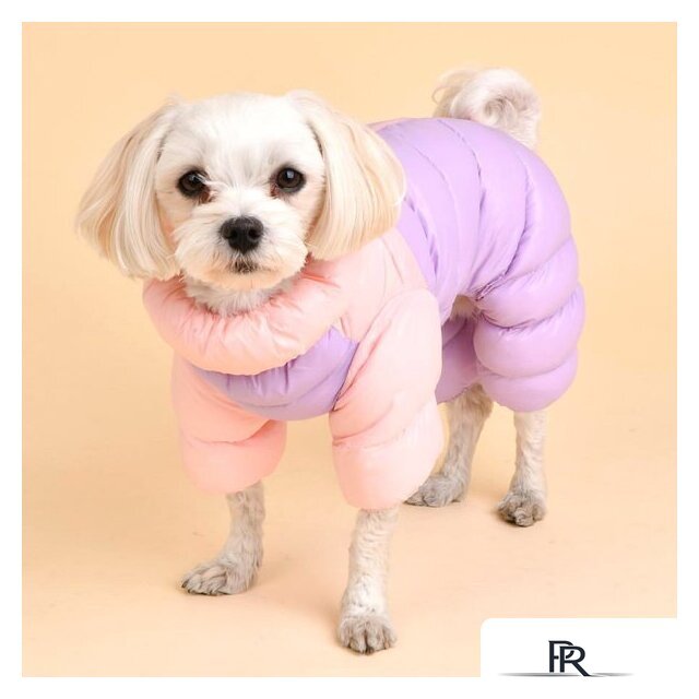 Комбинезон для животных Puppia Ultra Light Pastel PAUD-JP1675-PK-XL (розовый/сиреневый) - Изображение №3 — Интернет-магазин ПроЗаказ