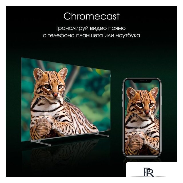 OLED телевизор Digma Pro OLED 55M - Изображение №11 — Интернет-магазин ПроЗаказ