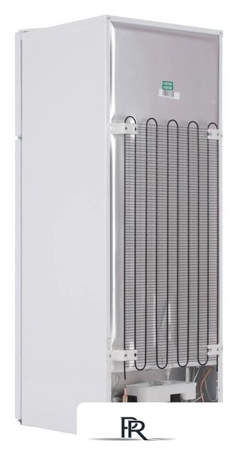 Холодильник BEKO B1RDSK240W - Изображение №5 — Интернет-магазин ПроЗаказ