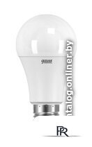 Светодиодная лампочка Gauss LED Elementary A67 E27 30 Вт 4100 К 73229 - Изображение №1 — Интернет-магазин ПроЗаказ