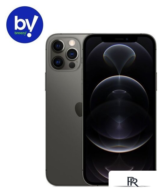 Смартфон Apple iPhone 12 Pro 256GB Восстановленный by Breezy, грейд B (графитовый) - Изображение №1 — Интернет-магазин ПроЗаказ