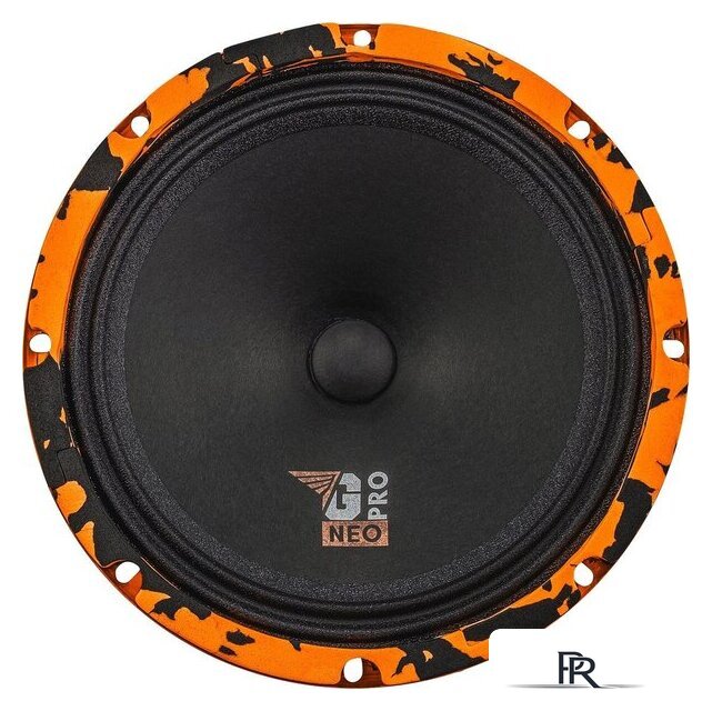 Среднечастотная АС DL Audio Gryphon Pro 200 Neo - Изображение №2 — Интернет-магазин ПроЗаказ