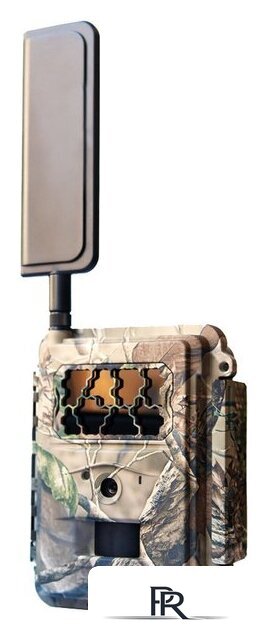 Фотоловушка Seelock S378 - Изображение №1 — Интернет-магазин ПроЗаказ