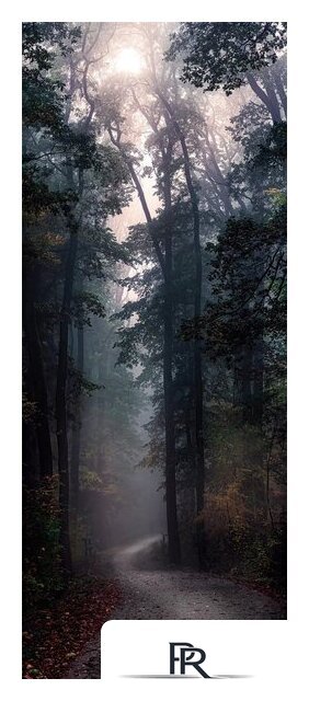 Картина Stamprint Лесная тропа NT026 (125x50) - Изображение №1 — Интернет-магазин ПроЗаказ