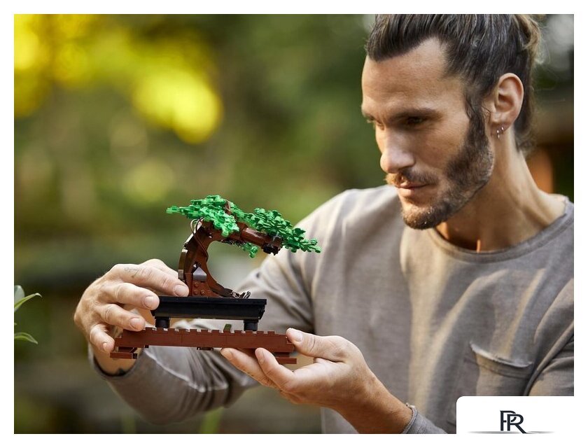 Конструктор LEGO Creator 10281 Бонсай - Изображение №18 — Интернет-магазин ПроЗаказ