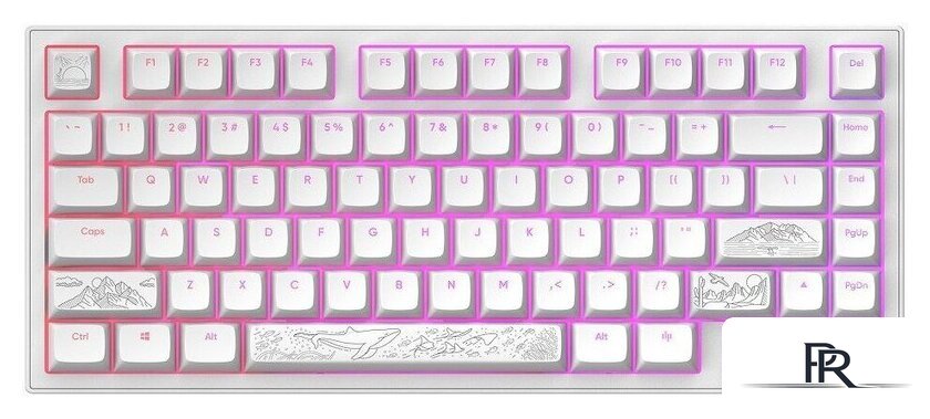 Клавиатура Dark Project ALU81A Terra Nostra White (g3ms Moonstone) - Изображение №2 — Интернет-магазин ПроЗаказ