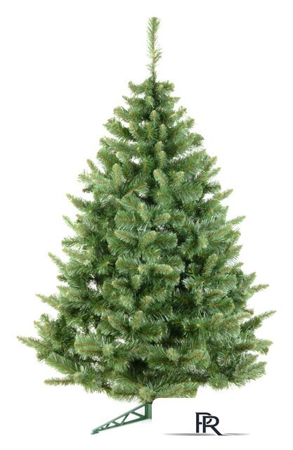 Ель Erbis Анна 1.8 м - Изображение №1 — Интернет-магазин ПроЗаказ