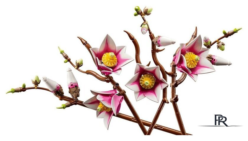 Конструктор LEGO Botanicals 11510 Ветви магнолии - Изображение №2 — Интернет-магазин ПроЗаказ