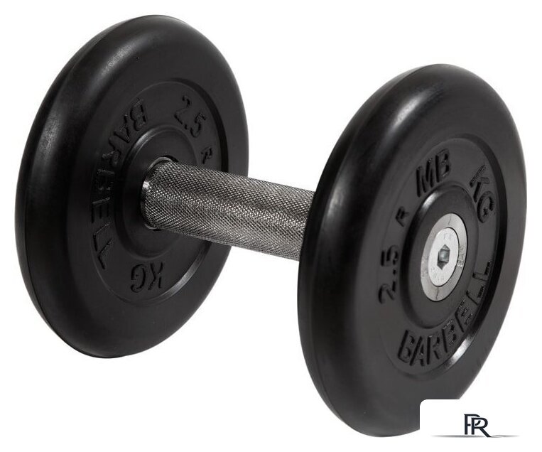 Гантель MB Barbell Профи 6 кг (вращающаяся ручка) - Изображение №1 — Интернет-магазин ПроЗаказ
