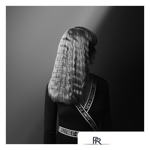 Мультистайлер Rowenta Karl Lagerfeld CF451LF0 - Изображение №4 — Интернет-магазин ПроЗаказ