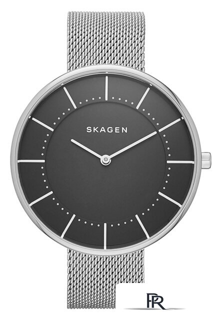 Наручные часы Skagen SKW2561 - Изображение №1 — Интернет-магазин ПроЗаказ