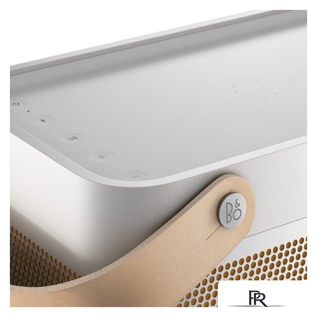 Беспроводная колонка Bang & Olufsen Beolit 20 (серый) - Изображение №10 — Интернет-магазин ПроЗаказ