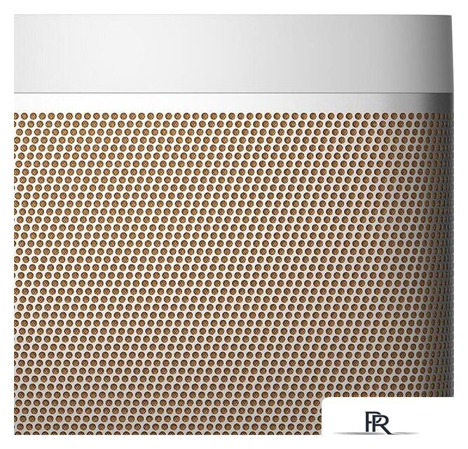 Беспроводная колонка Bang & Olufsen Beolit 20 (серый) - Изображение №8 — Интернет-магазин ПроЗаказ