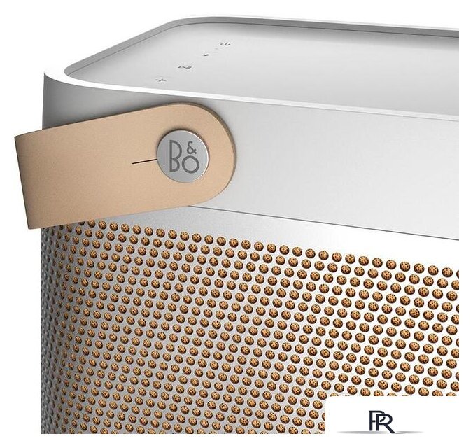 Беспроводная колонка Bang & Olufsen Beolit 20 (серый) - Изображение №9 — Интернет-магазин ПроЗаказ