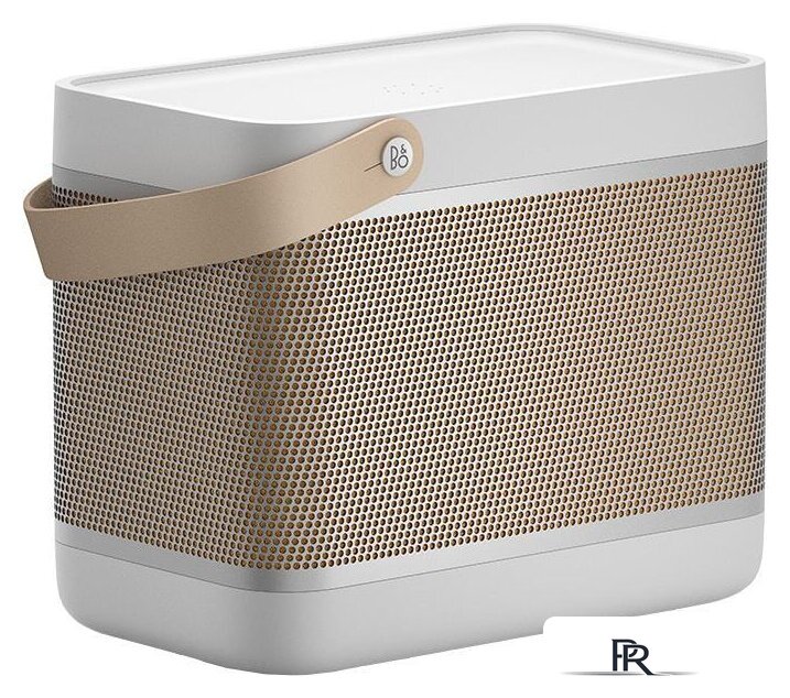 Беспроводная колонка Bang & Olufsen Beolit 20 (серый) - Изображение №1 — Интернет-магазин ПроЗаказ