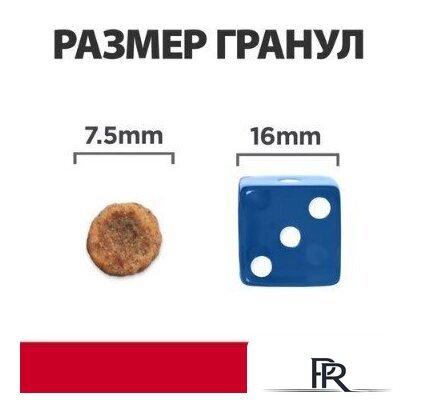 Сухой корм для собак Hill's Prescription Diet Digestive Care i/d Stress Mini 3 кг - Изображение №5 — Интернет-магазин ПроЗаказ
