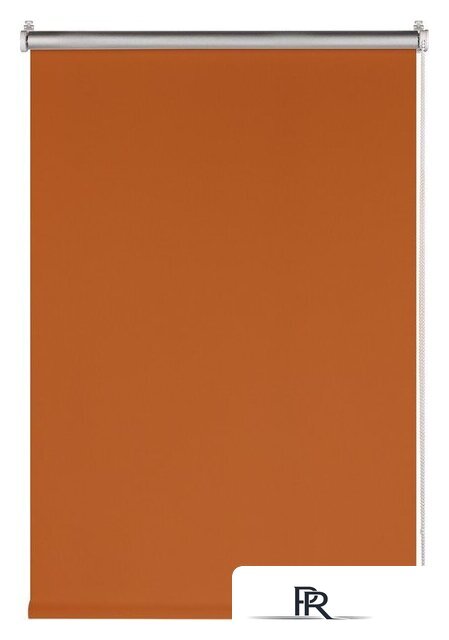 Рулонные шторы Franc Gardiner Blackout Silver 200x175 7794915 (оранжевый) - Изображение №1 — Интернет-магазин ПроЗаказ