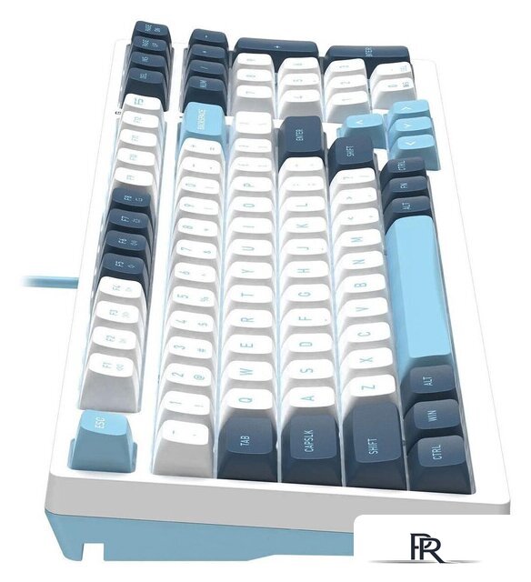 Клавиатура A4Tech Fstyler FS300 Panda Snowboarding - Изображение №9 — Интернет-магазин ПроЗаказ