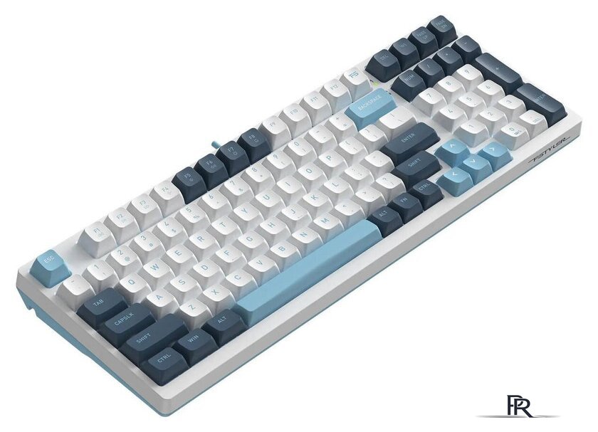 Клавиатура A4Tech Fstyler FS300 Panda Snowboarding - Изображение №5 — Интернет-магазин ПроЗаказ