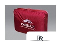 Спальная подушка Kariguz Чистый верблюд ЗЧВ15-3 50x68 - Изображение №5 — Интернет-магазин ПроЗаказ