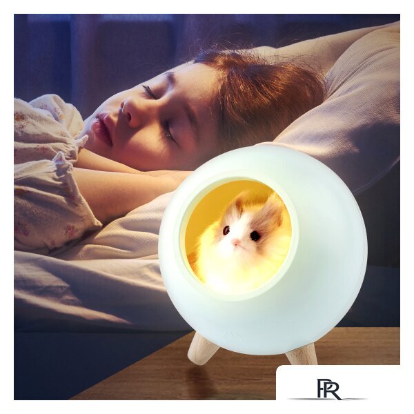 Осевой вентилятор Soler&Palau Silent-100 CZ Ecowatt 5210610000 - Изображение №14 — Интернет-магазин ПроЗаказ