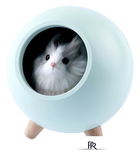 Осевой вентилятор Soler&Palau Silent-100 CZ Ecowatt 5210610000 - Изображение №5 — Интернет-магазин ПроЗаказ