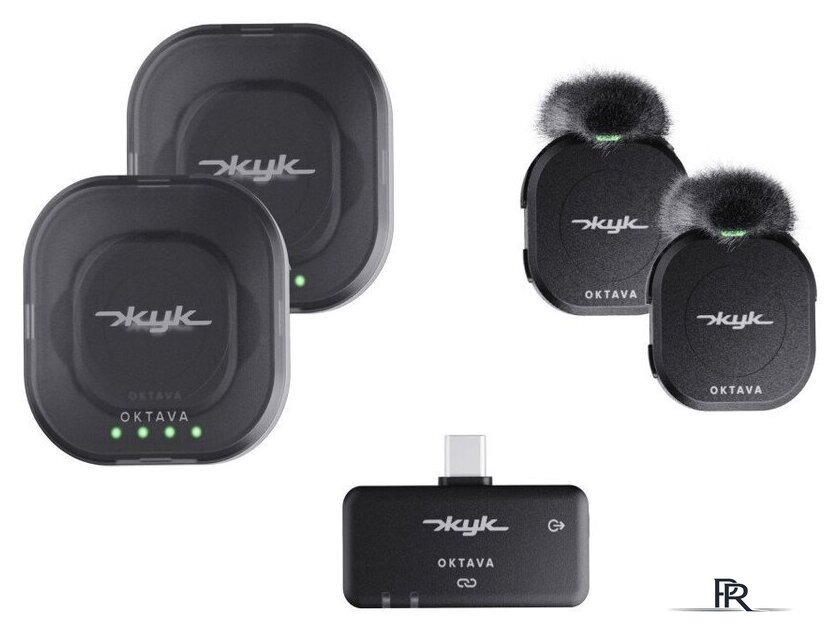 Радиосистема Октава Жук-2 (черный) - Изображение №1 — Интернет-магазин ПроЗаказ