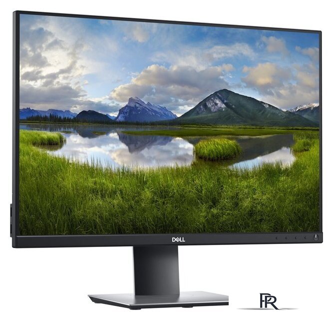 Монитор Dell P2421 - Изображение №2 — Интернет-магазин ПроЗаказ