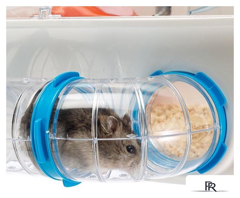 Клетка Ferplast Combi 1 (белый) 57923499 - Изображение №8 — Интернет-магазин ПроЗаказ