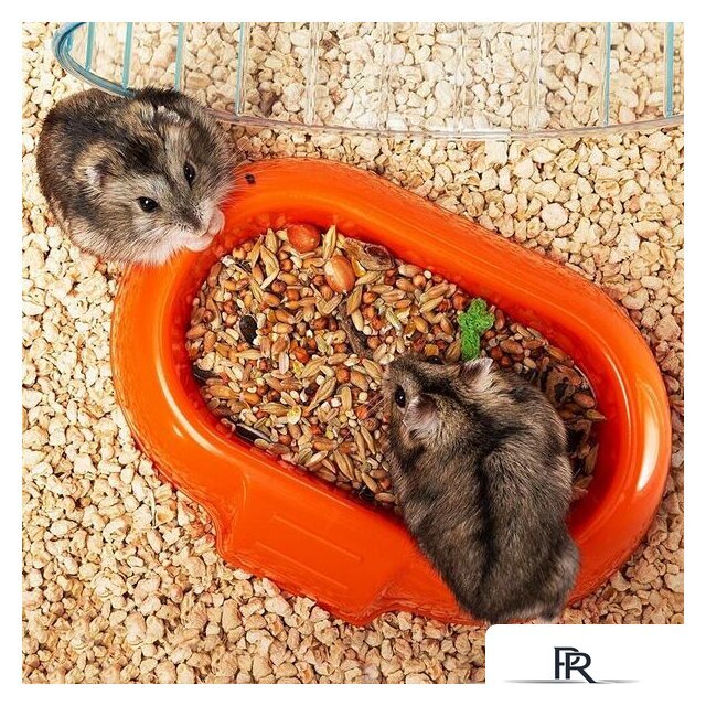 Клетка Ferplast Combi 1 (белый) 57923499 - Изображение №10 — Интернет-магазин ПроЗаказ