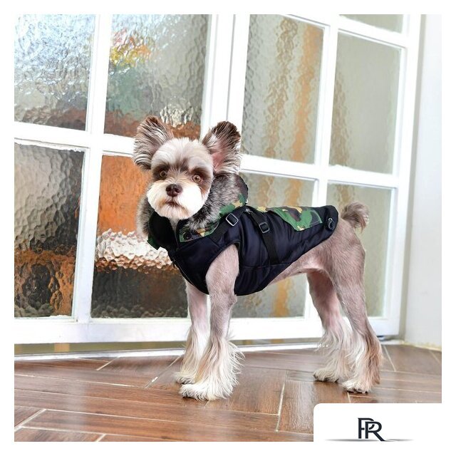 Жилетка для животных Puppia Orson PARD-VT1569-BK-L (черный) - Изображение №3 — Интернет-магазин ПроЗаказ