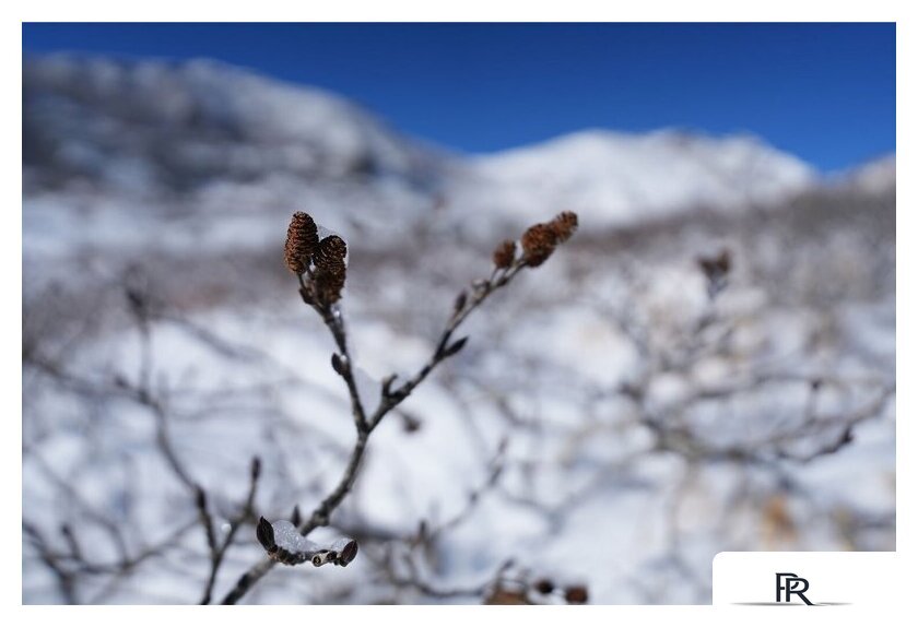 Объектив Sony FE 16-25mm F2.8 G - Изображение №19 — Интернет-магазин ПроЗаказ