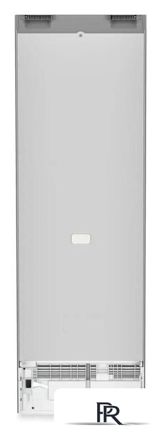 Однокамерный холодильник Liebherr Rsfd 5220 Plus - Изображение №3 — Интернет-магазин ПроЗаказ