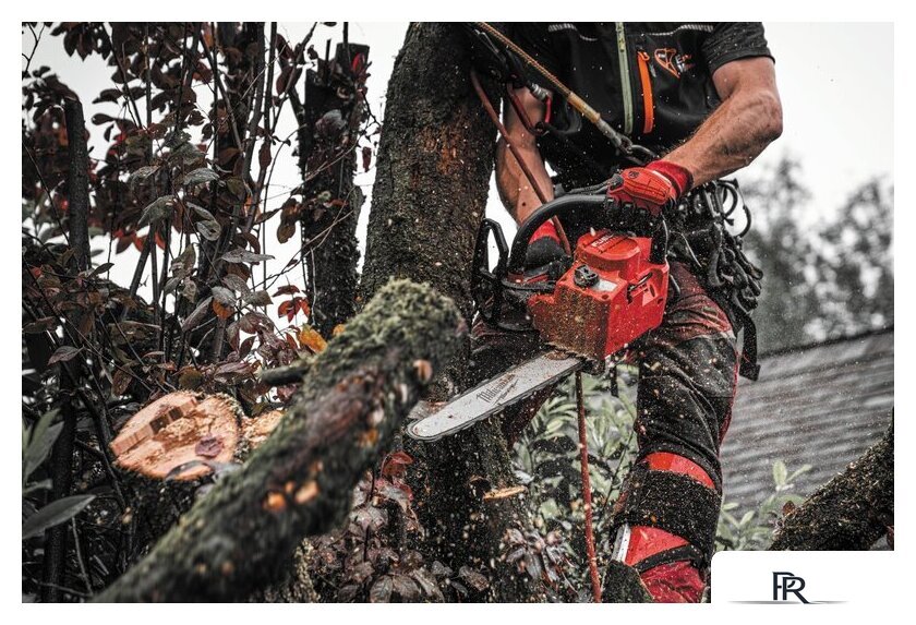 Аккумуляторная пила Milwaukee M18 FTHCHS30-0 4933479586 (без АКБ) - Изображение №15 — Интернет-магазин ПроЗаказ