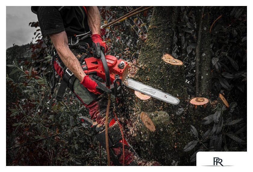 Аккумуляторная пила Milwaukee M18 FTHCHS30-0 4933479586 (без АКБ) - Изображение №16 — Интернет-магазин ПроЗаказ