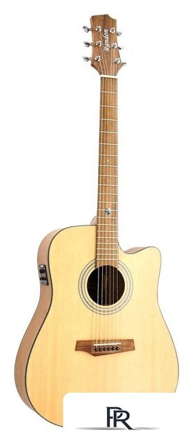 Электроакустическая гитара Randon RGI-01-CE - Изображение №1 — Интернет-магазин ПроЗаказ