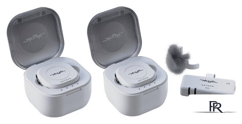 Радиосистема Октава Жук-2 (белый) - Изображение №1 — Интернет-магазин ПроЗаказ