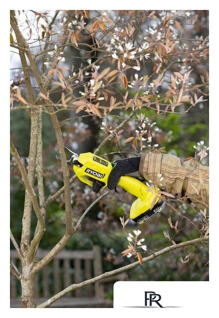 Секатор Ryobi RY18SCA-0 5133005024 (без АКБ) - Изображение №9 — Интернет-магазин ПроЗаказ