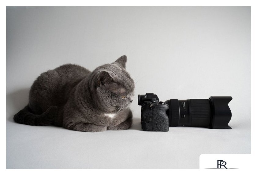 Объектив Tamron 50-300mm F/4.5-6.3 Di III VC VXD - Изображение №14 — Интернет-магазин ПроЗаказ