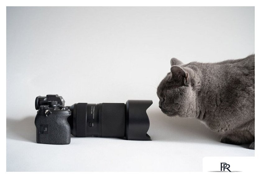 Объектив Tamron 50-300mm F/4.5-6.3 Di III VC VXD - Изображение №15 — Интернет-магазин ПроЗаказ