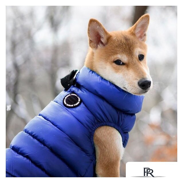 Жилетка для животных Puppia Ultra Light Vest A PAPD-JM1670-NY-S (синий) - Изображение №3 — Интернет-магазин ПроЗаказ
