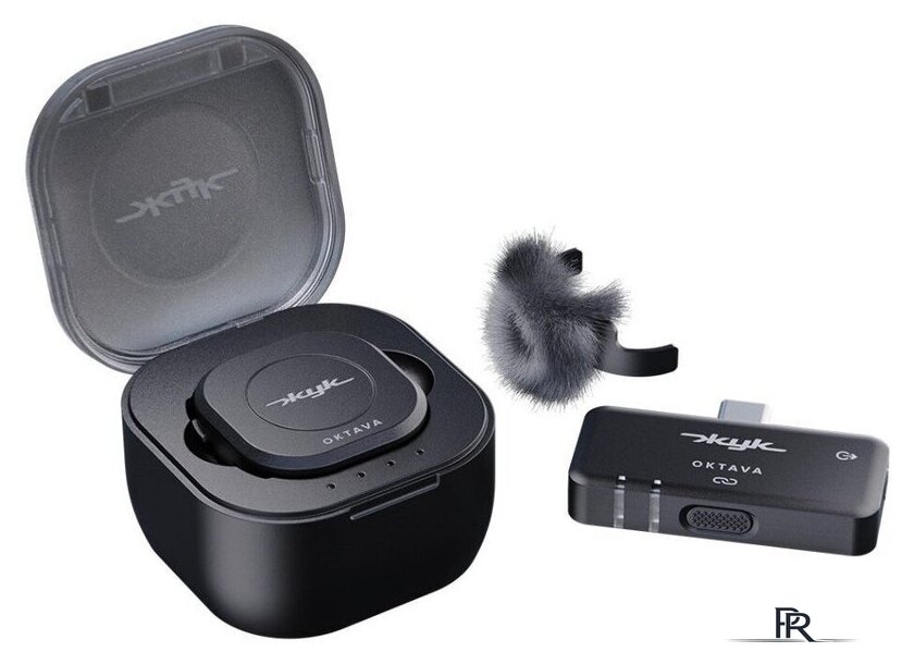 Радиосистема Октава Жук-1 (черный) - Изображение №1 — Интернет-магазин ПроЗаказ